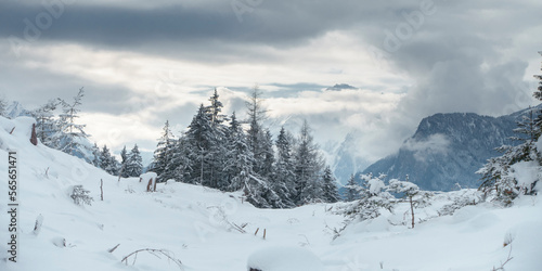 Panorama einer Winterlandschaft im Tourismusgebiet Zillertal in Tirol © by paul