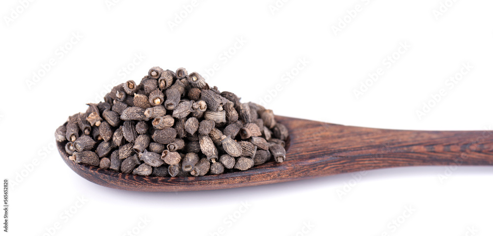 Borage seeds in wooden spoon, isolated on a white background. Borago officinalis seeds. Borage seeds in wooden spoon, isolated on a white background. Borago officinalis seeds.