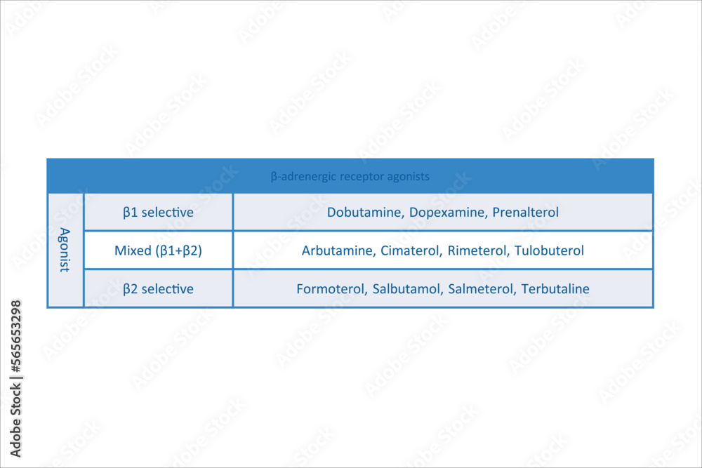 Table showing classification of β adrenergic receptor agonist drugs with examples. Pink background and text. Table showing classification of β adrenergic receptor agonist drugs with examples. Pink background and text.