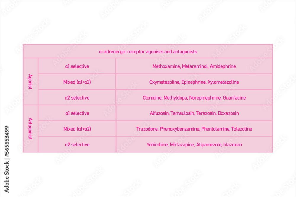 Table showing classification of α adrenergic receptor agonists and atagonists drugs with examples. Blue background and text. Table showing classification of α adrenergic receptor agonists and atagonists drugs with examples. Blue background and text.