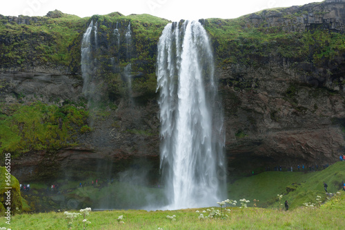 Seljalandsfoss falls in summer season view  Iceland