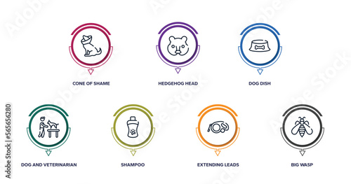 fauna outline icons with infographic template. thin line icons such as cone of shame, hedgehog head, dog dish, dog and veterinarian, shampoo, extending leads, big wasp vector.