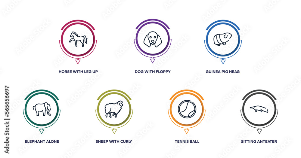 free animals outline icons with infographic template. thin line icons such as horse with leg up, dog with floppy ears, guinea pig heag, elephant alone, sheep curly wool, tennis ball, sitting free animals outline icons with infographic template. thin line icons such as horse with leg up, dog with floppy ears, guinea pig heag, elephant alone, sheep curly wool, tennis ball, sitting