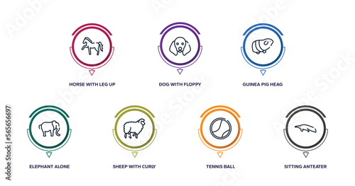 free animals outline icons with infographic template. thin line icons such as horse with leg up, dog with floppy ears, guinea pig heag, elephant alone, sheep curly wool, tennis ball, sitting