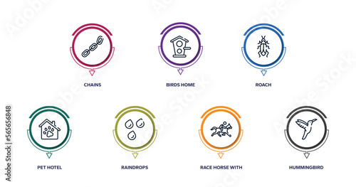 nature lineal pack outline icons with infographic template. thin line icons such as chains, birds home, roach, pet hotel, raindrops, race horse with jockey, hummingbird vector.