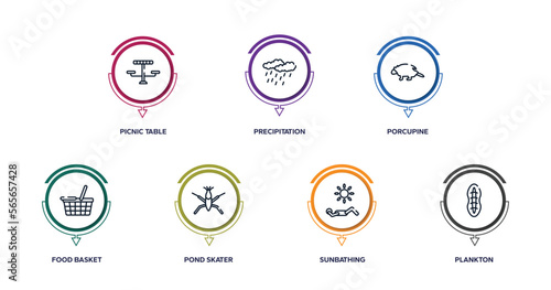 nature outline icons with infographic template. thin line icons such as picnic table, precipitation, porcupine, food basket, pond skater, sunbathing, plankton vector.