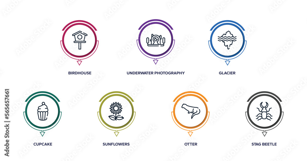 insects outline icons with infographic template. thin line icons such as birdhouse, underwater photography, glacier, cupcake, sunflowers, otter, stag beetle vector. insects outline icons with infographic template. thin line icons such as birdhouse, underwater photography, glacier, cupcake, sunflowers, otter, stag beetle vector.
