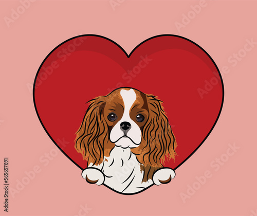 Cavalier King Charles Spaniel dog hanging with paws in a big Valentine's day heart. Love heart with pet head and heart and footprint. Dog face Holding Pink Heart Cartoon Icon. St Valentine's fun card.