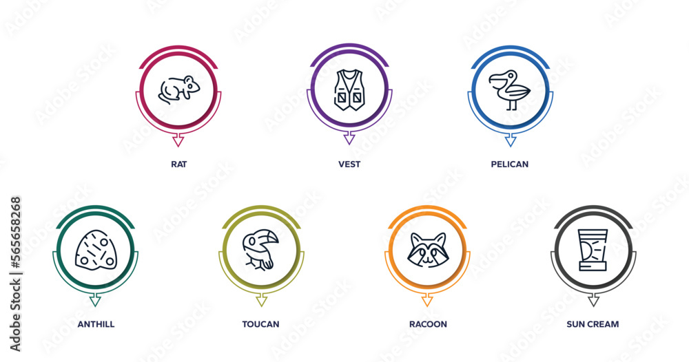desert outline icons with infographic template. thin line icons such as rat, vest, pelican, anthill, toucan, racoon, sun cream vector. desert outline icons with infographic template. thin line icons such as rat, vest, pelican, anthill, toucan, racoon, sun cream vector.
