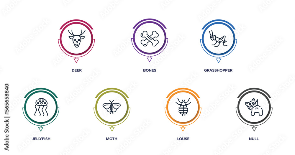 insects outline icons with infographic template. thin line icons such as deer, bones, grasshopper, jellyfish, moth, louse, null vector. insects outline icons with infographic template. thin line icons such as deer, bones, grasshopper, jellyfish, moth, louse, null vector.