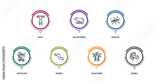animals outline icons with infographic template. thin line icons such as null, polar bear, mantis, stroller, worm, palm tree, zebra vector.