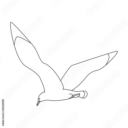 Bird gull vector icon.Outline vector icon isolated on white background bird gull.