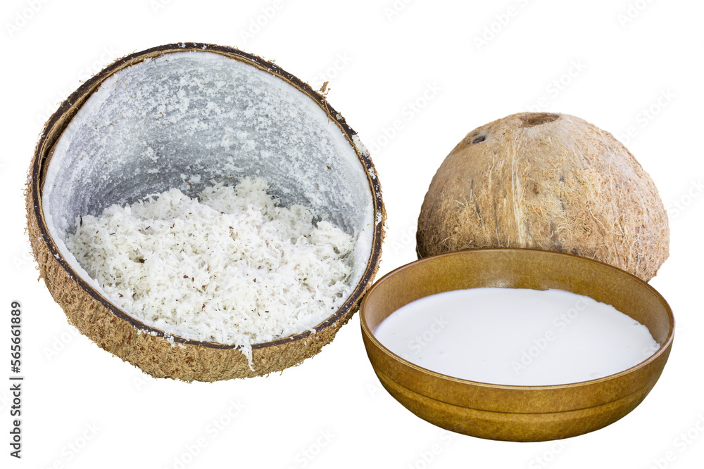 Cutout of an isolated freshly shredded coconut in a coconut shell and creamy coconut milk with the transparent png Cutout of an isolated freshly shredded coconut in a coconut shell and creamy coconut milk with the transparent png
