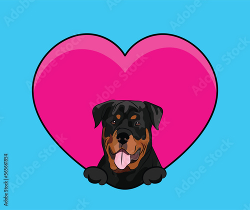 Rottweiler dog head hanging with paws in a big Valentine's day heart. Love heart with pet head and heart and footprint. Dog face Holding Pink Heart Cartoon Icon. St Valentine's day for dog funs.
