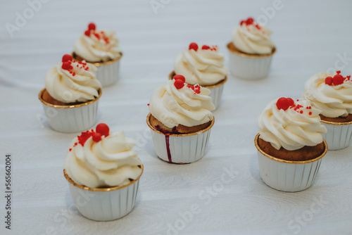 cupcakes with cream
