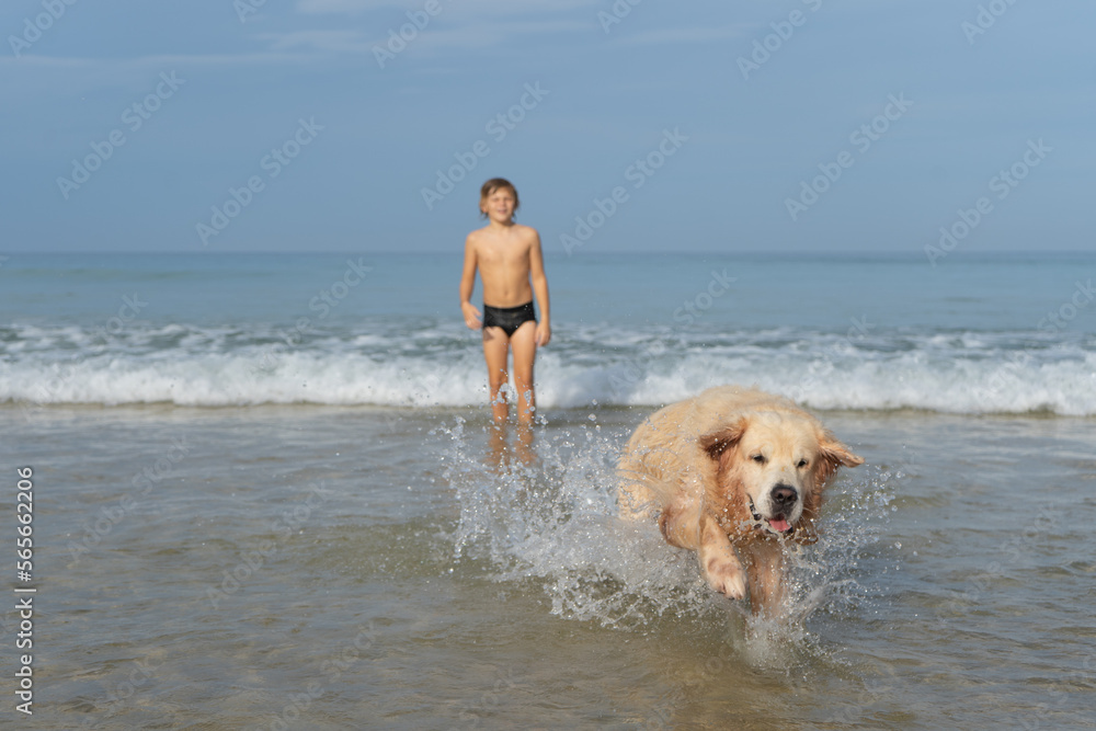 child playing with a dog on the beach