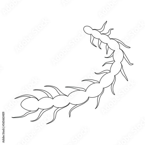 Plankton vector icon.Outline vector icon isolated on white background plankton.