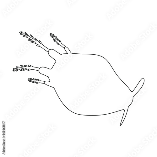 Plankton vector icon.Outline vector icon isolated on white background plankton.