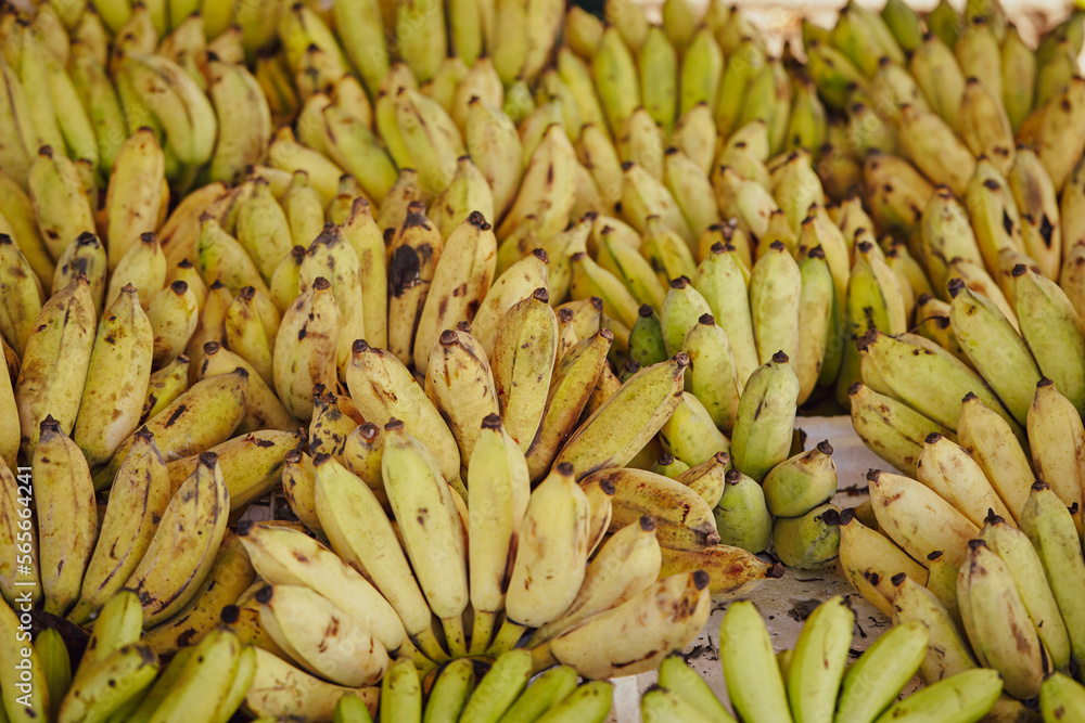  bananas at the market, traditional market
