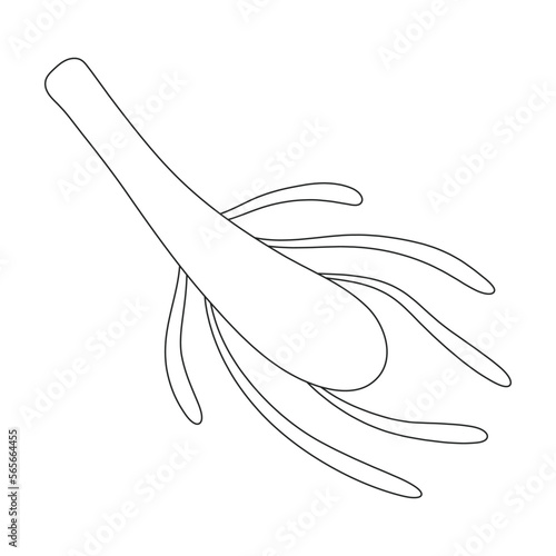 Plankton vector icon.Outline vector icon isolated on white background plankton.