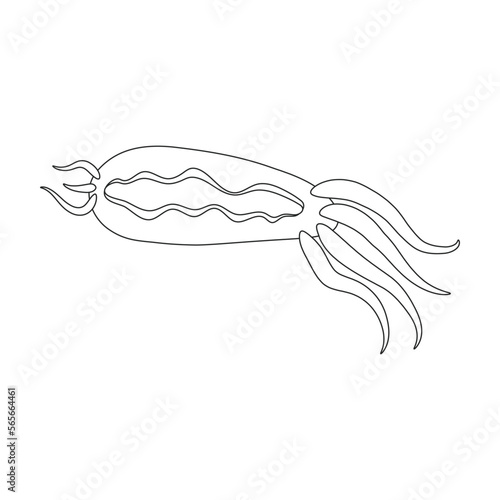 Plankton vector icon.Outline vector icon isolated on white background plankton.