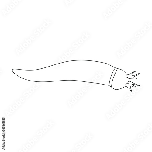 Plankton vector icon.Outline vector icon isolated on white background plankton.