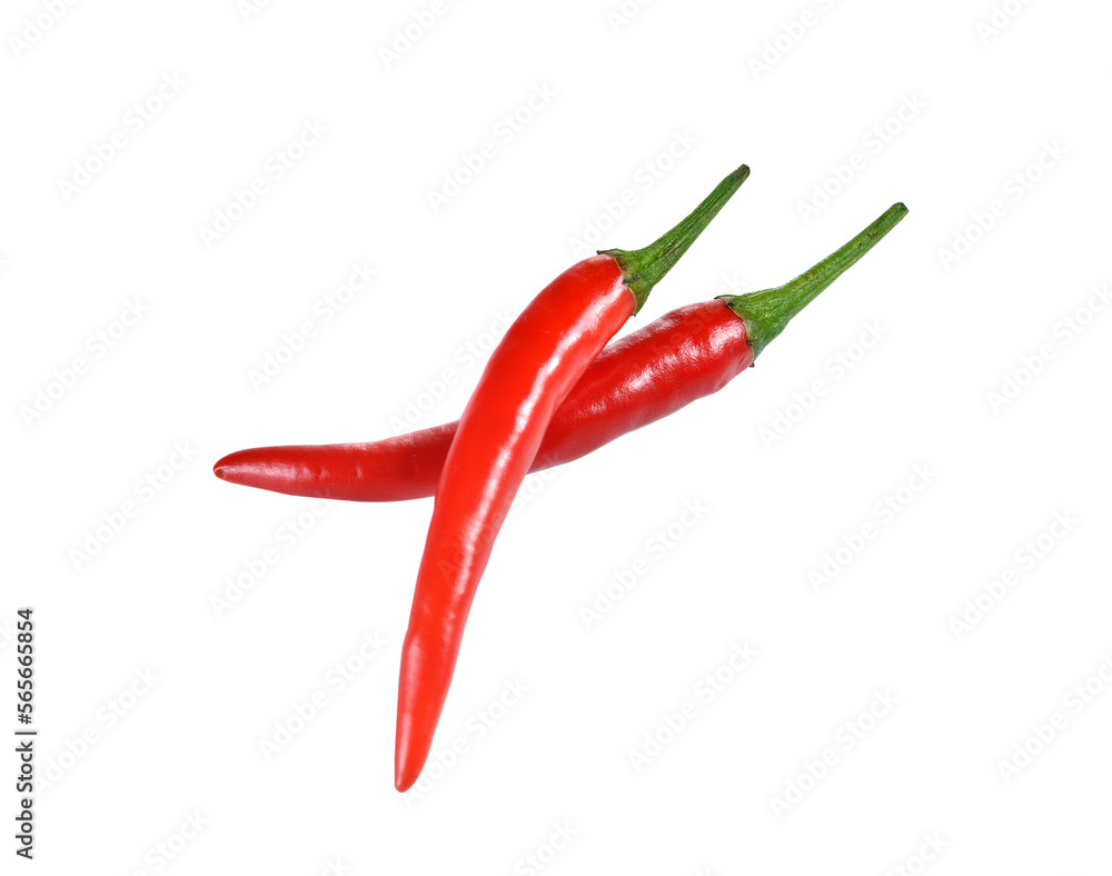 Hot chili peppers isolated on  transparent png