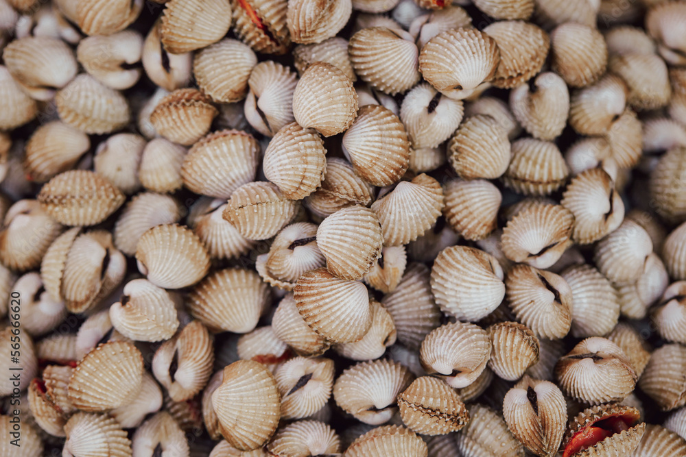 Fresh clams on display at a traditional market	