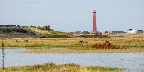 Rundreise durch die Niederlande und Friesland