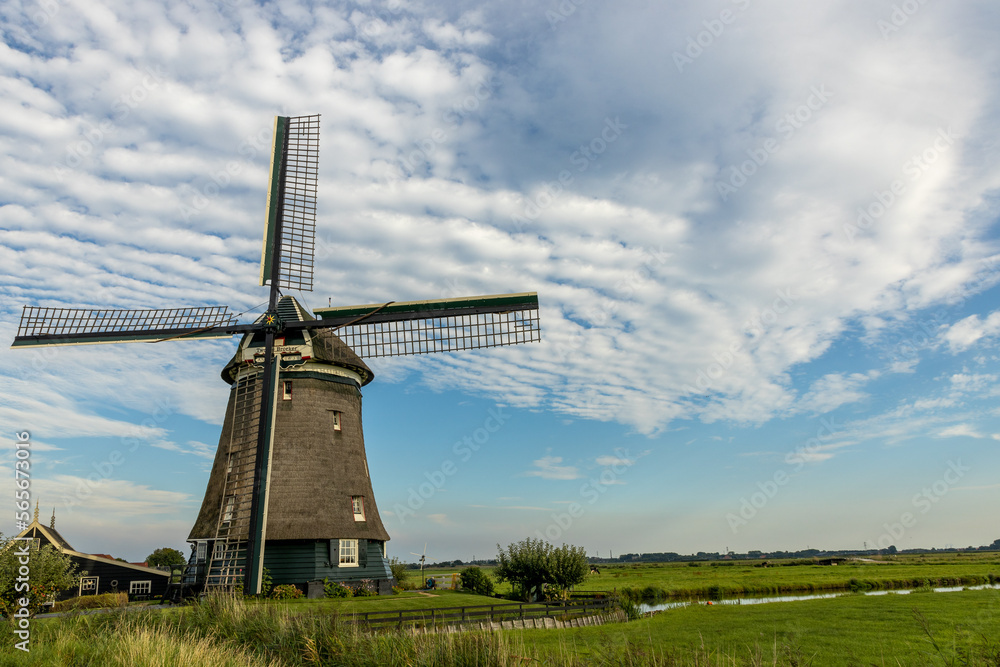 Eine Reise durch die Niederlande