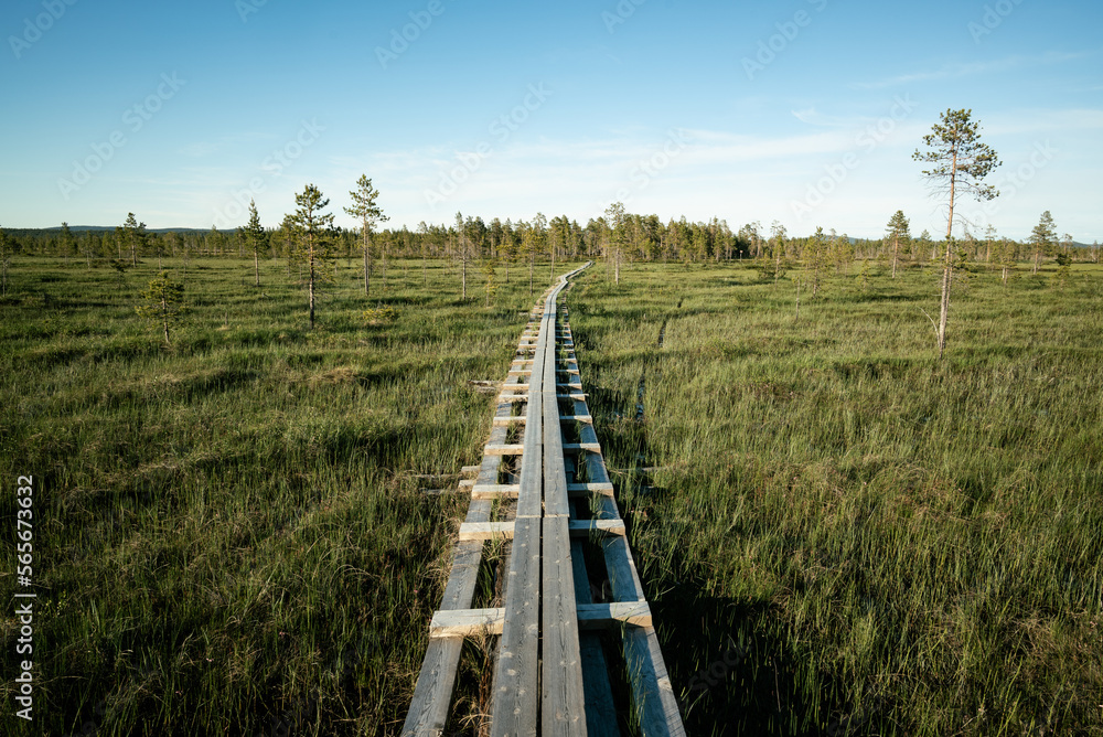 Shot of a long gangplank through a marshlands and swamps in Swedish Lappland close to Grodkällan på Slengmyren in Arvidsjaur