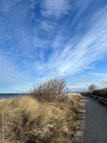 Fototapeta Naklejka Na Ścianę i Meble -  Beach at the Baltic Sea in the north of Germany