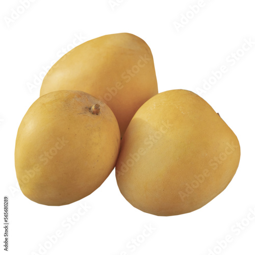 Cutout of an isolated  three sweet juicy ripe yellow mangoes with the transparent png
 photo