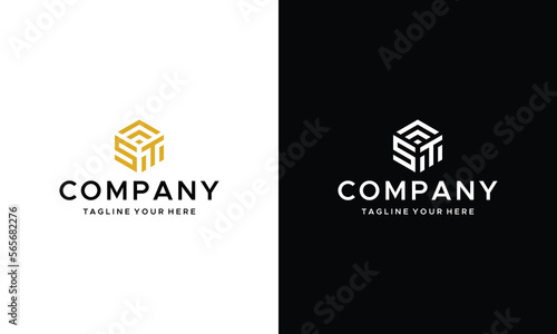 Initial SM or ST Hexagon Logo Elegant Luxury Design Inspiration on a black and white background.