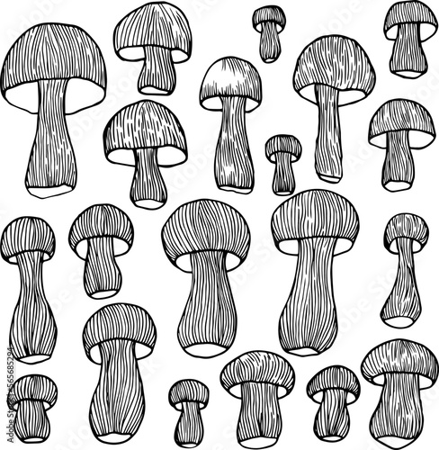 Mushrooms set simple hand drawing. Mushrooms of various sizes. Wallpaper with food. photo