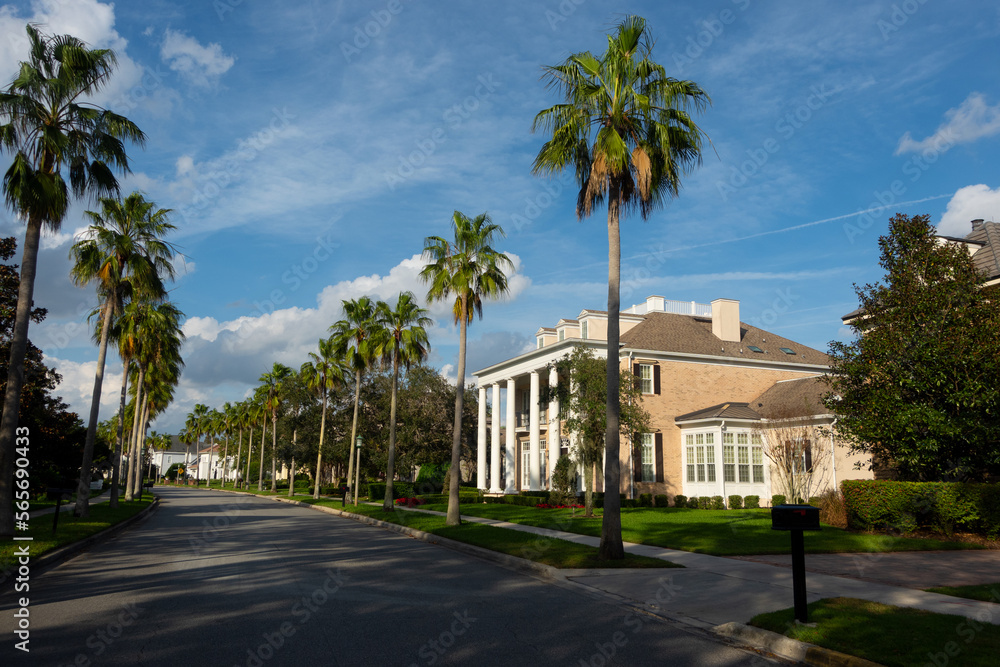 Palm tree-lined street in an upscale, residential neighborhood with beautiful, large houses and a perfect blue sky in Florida