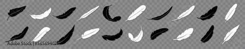 Set of Feather silhouettes. Vector illustration