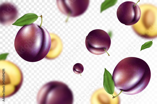 Falling plums, isolated on transparent background. Flying whole and sliced plum fruits with blurry effect. Can be used for advertising, packaging, banner. Realistic 3d vector illustration