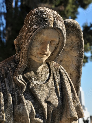 Ángel de un mausoleo photo