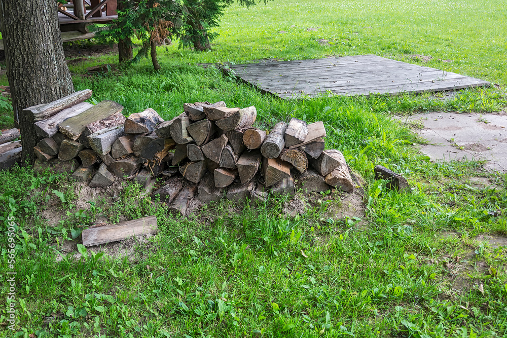 Chopped firewood stacked on grass near the tree Chopped firewood stacked on grass near the tree