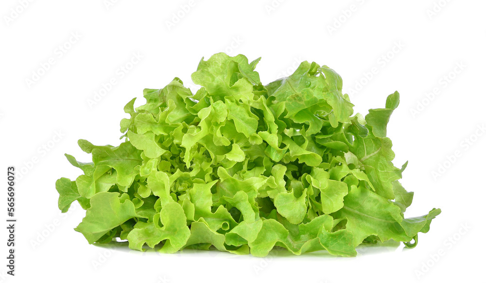 Fresh organic green lettuce isolated on white background. Fresh organic green lettuce isolated on white background.