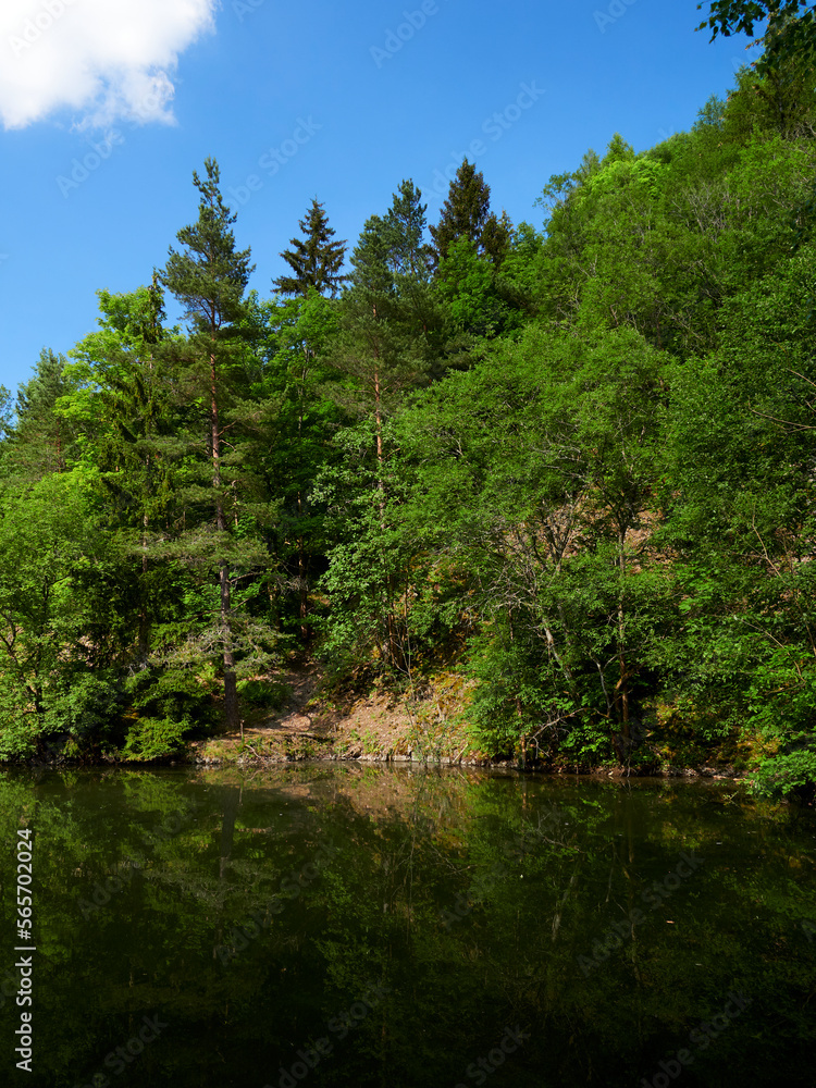 Der Silbersee an der Rother Kuppe, Biosphärenreservat Rhön, Unterfranken, Franken, Bayern, Deutschland