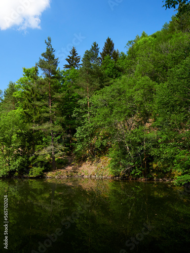 Der Silbersee an der Rother Kuppe  Biosph  renreservat Rh  n  Unterfranken  Franken  Bayern  Deutschland