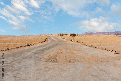 Desert road in Ras Mohammed National Park  Sharm Ash Sheikh  South Sinai  Egypt