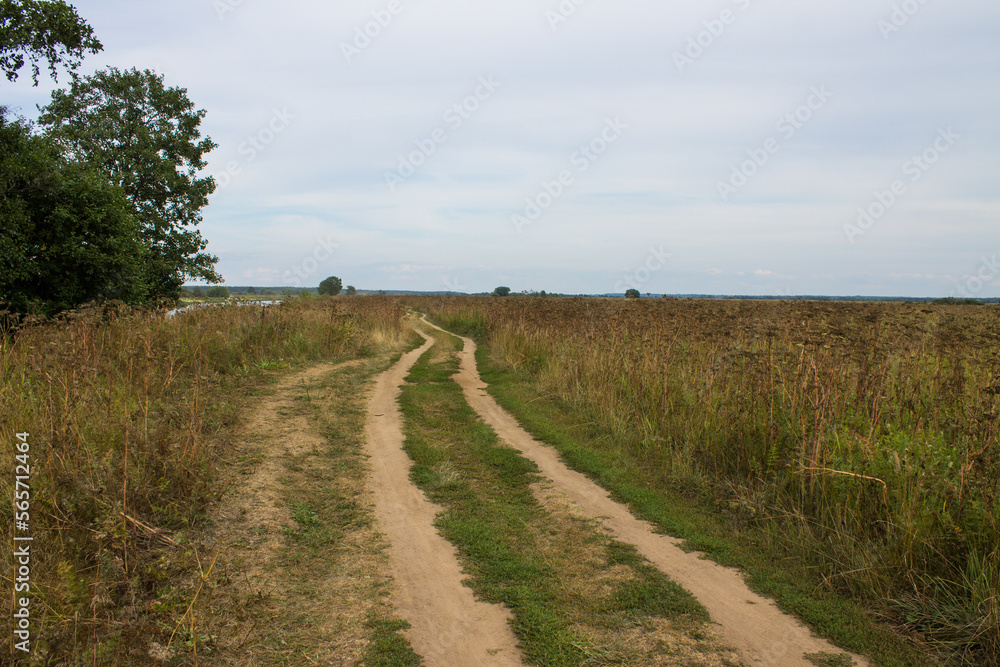 A beautiful landscape - a rural country road in the middle of a field with old withered grass to the horizon line with a cloudy sky in August and a space to copy A beautiful landscape - a rural country road in the middle of a field with old withered grass to the horizon line with a cloudy sky in August and a space to copy