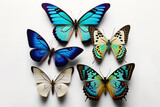  a group of butterflies sitting on top of a white surface with dots on them and a blue and yellow butterfly on the top of the butterflies.  generative ai