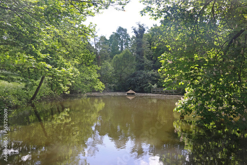 Pond in Golders Hill Park  London