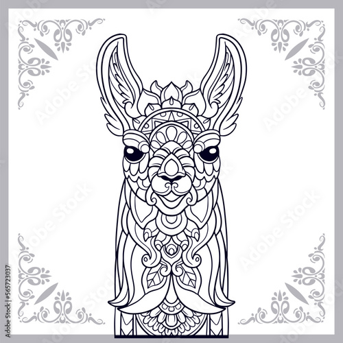 Llama head mandala arts isolated on white background