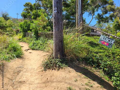 Start of the Lanikai Pillbox trail in Oahu, Hawaii photo