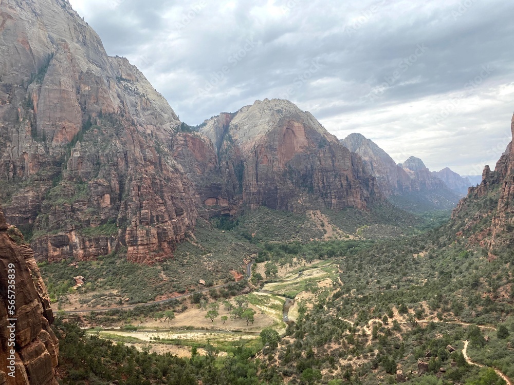 Zion park in the summer